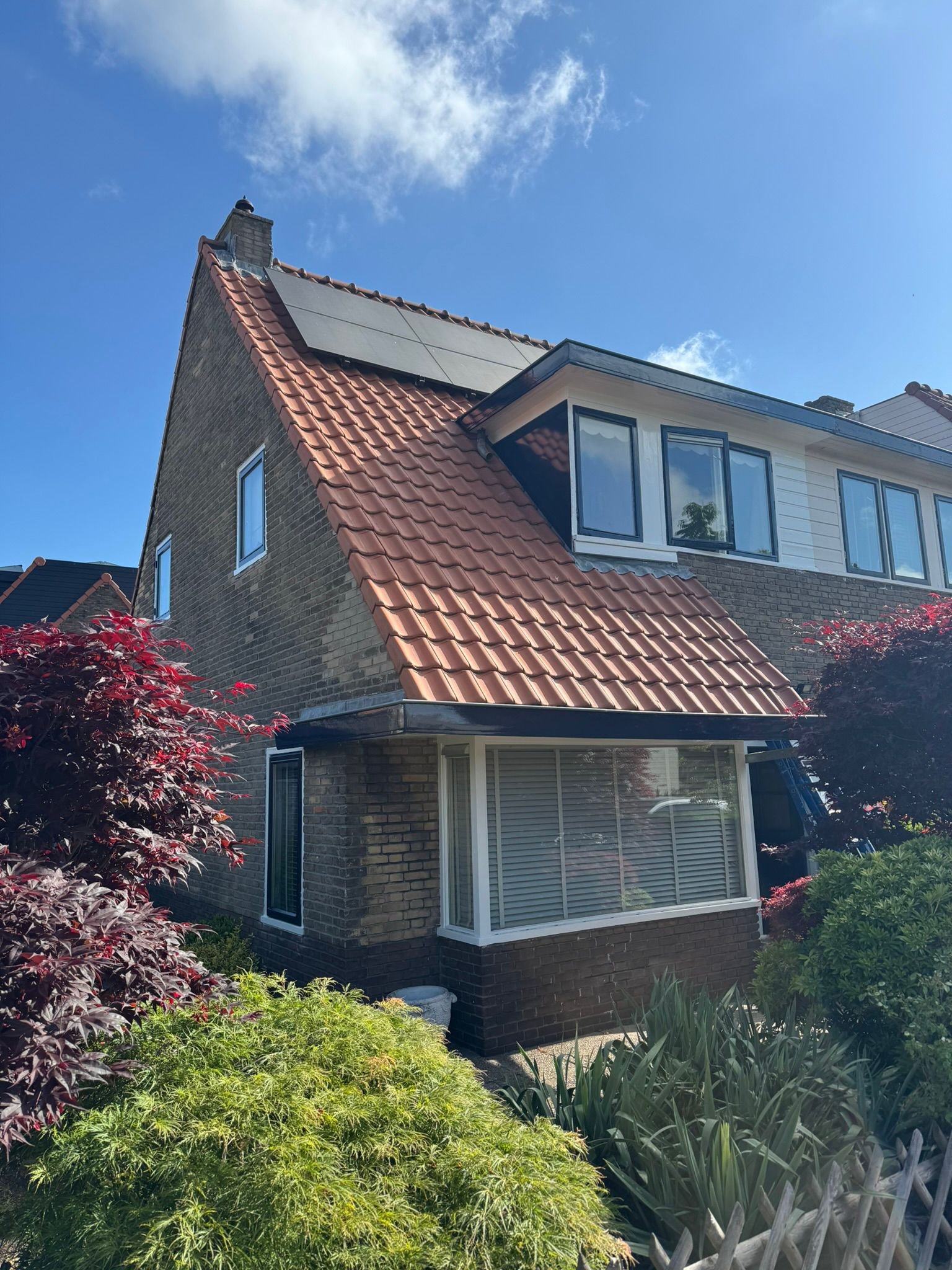 WhatsApp Image 2026-04-02 at 22.07.07 (1)