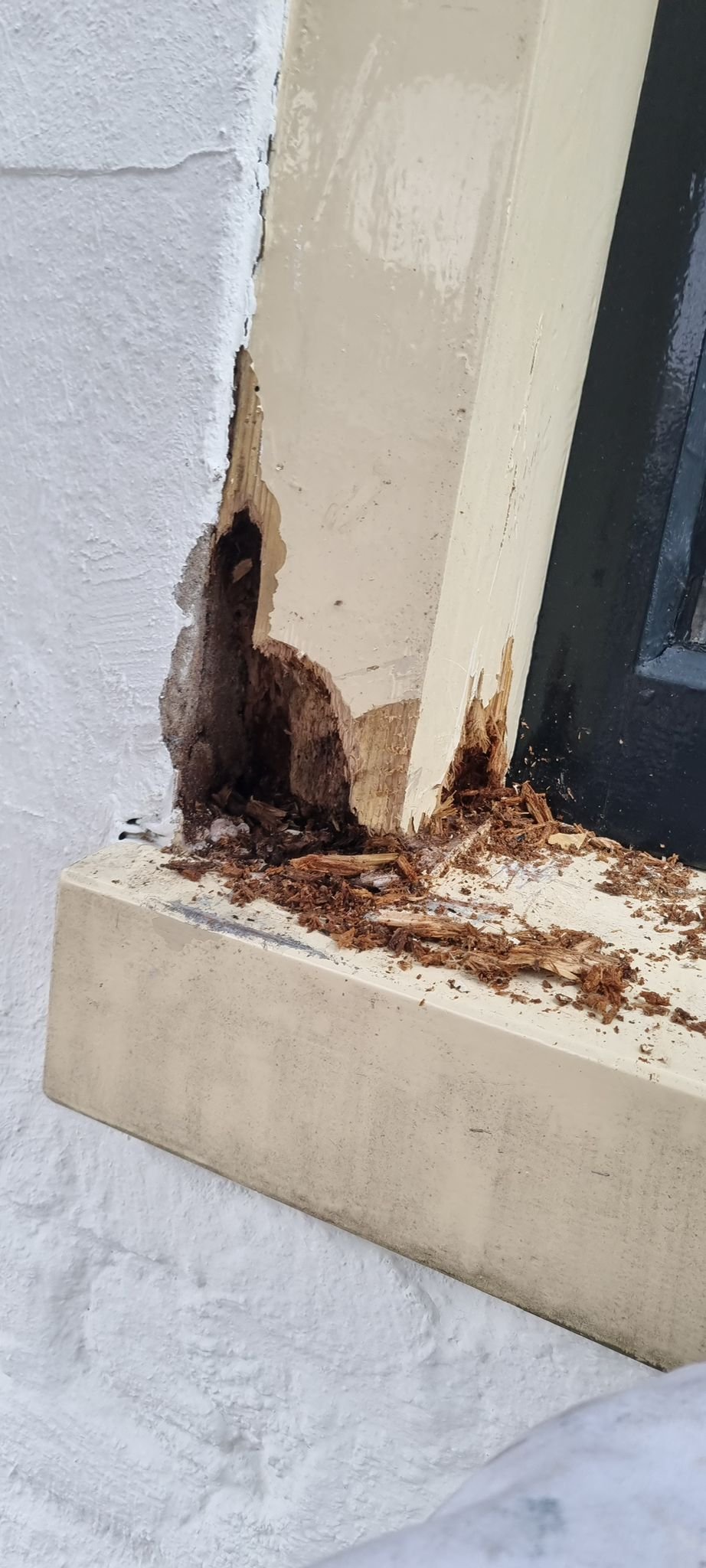 WhatsApp Image 2026-04-02 at 22.07.09 (1)