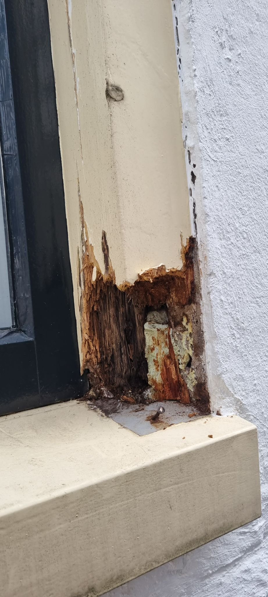 WhatsApp Image 2026-04-02 at 22.07.10 (1)